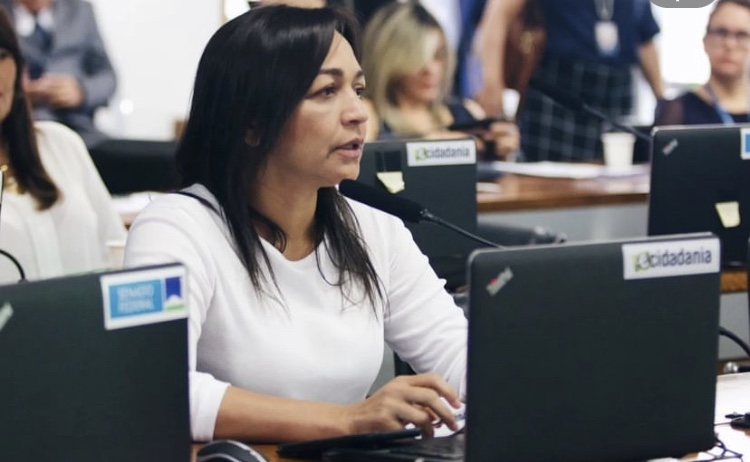 Direitos da Mulheres: Comissão aprova 3 sugestões de emendas de Eliziane